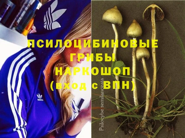 метадон Алексин