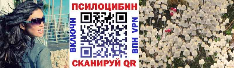 Псилоцибиновые грибы MAGIC MUSHROOMS  где купить наркоту  Хотьково 
